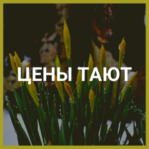 Весеннее спец. предложение
